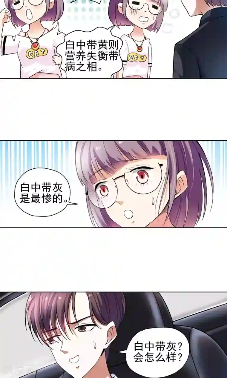 妙医圣女第55话 叔叔的新阴谋1