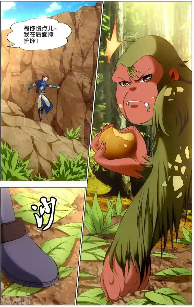 不败战神第17话 绿檀臂猿