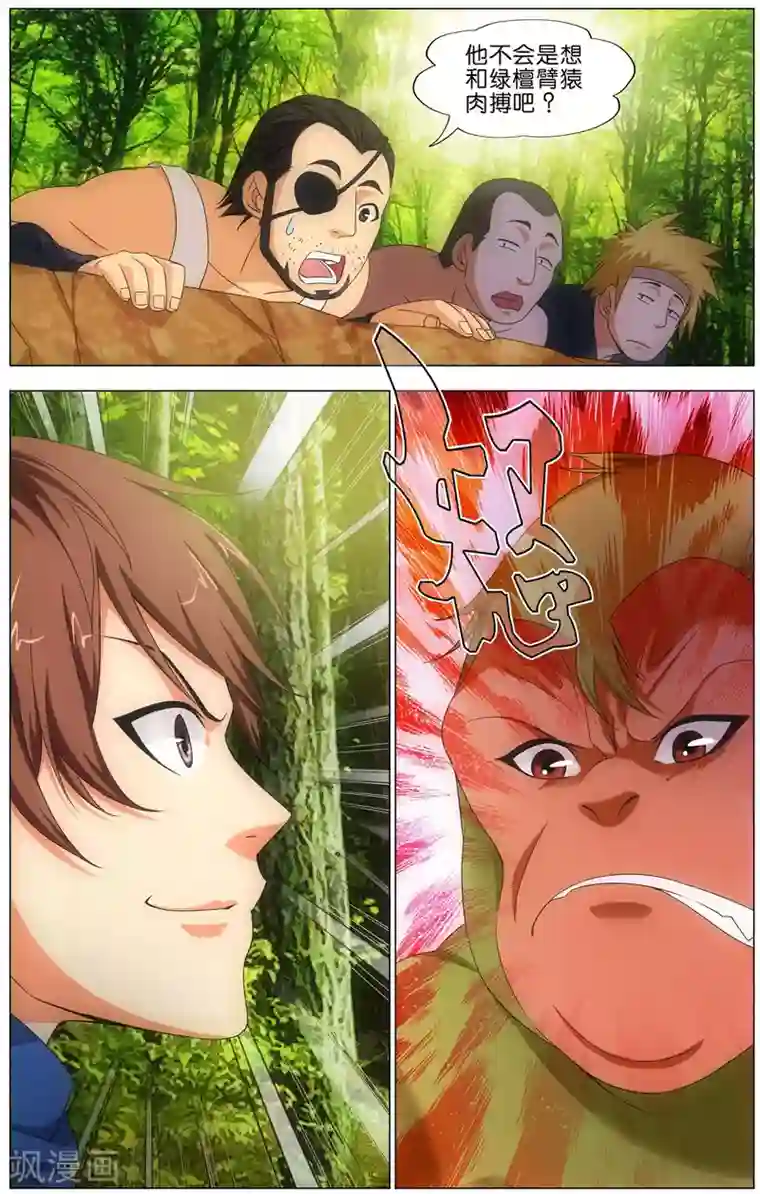 不败战神第17话 绿檀臂猿