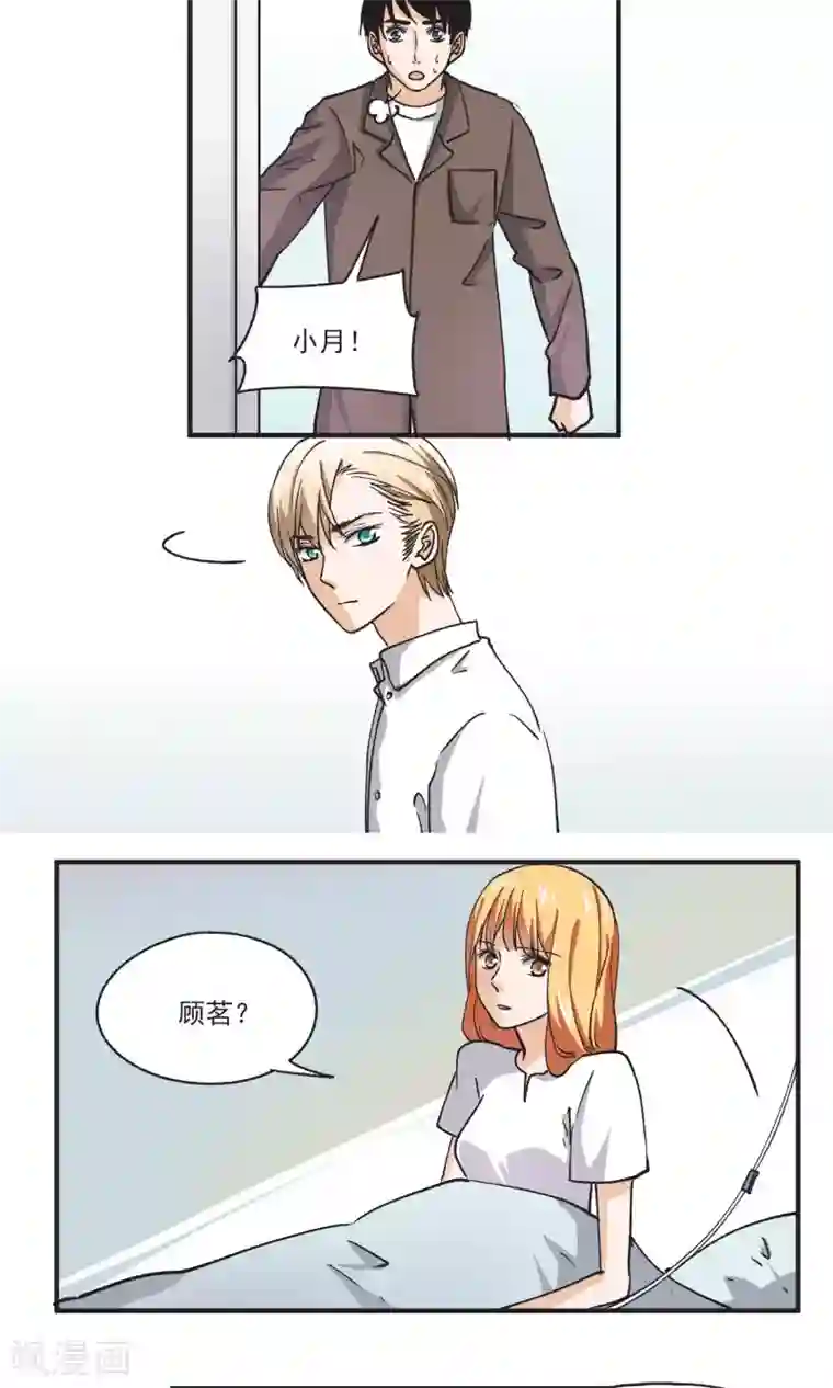 夜色下的写字楼第50话 求婚计划