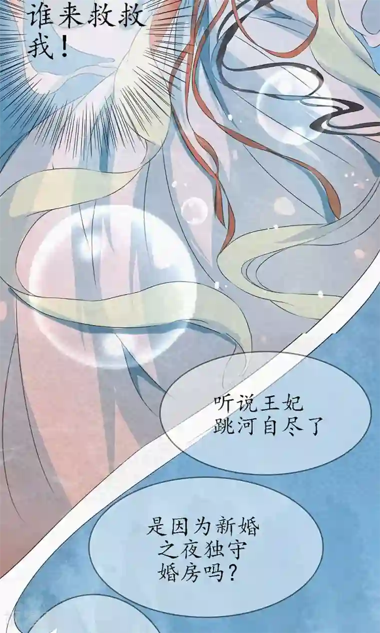 王妃的婚后指南序章