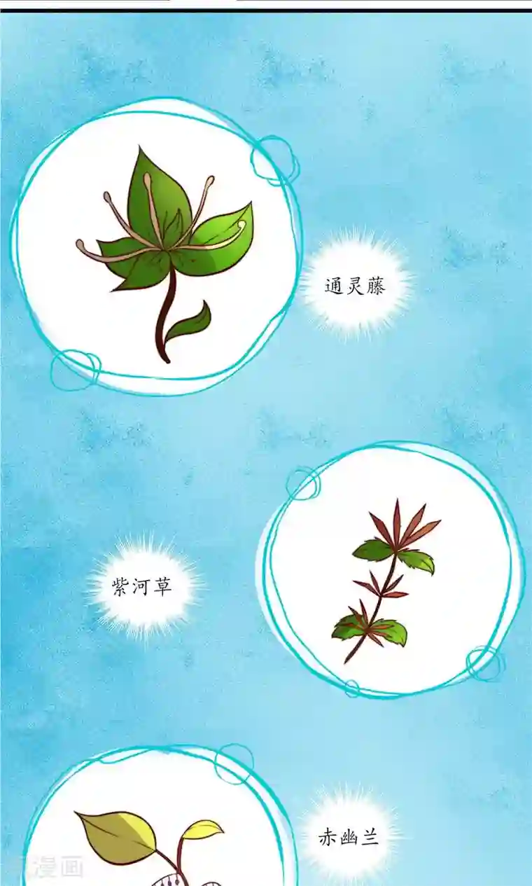 王妃的婚后指南第12话 传说中的万象体