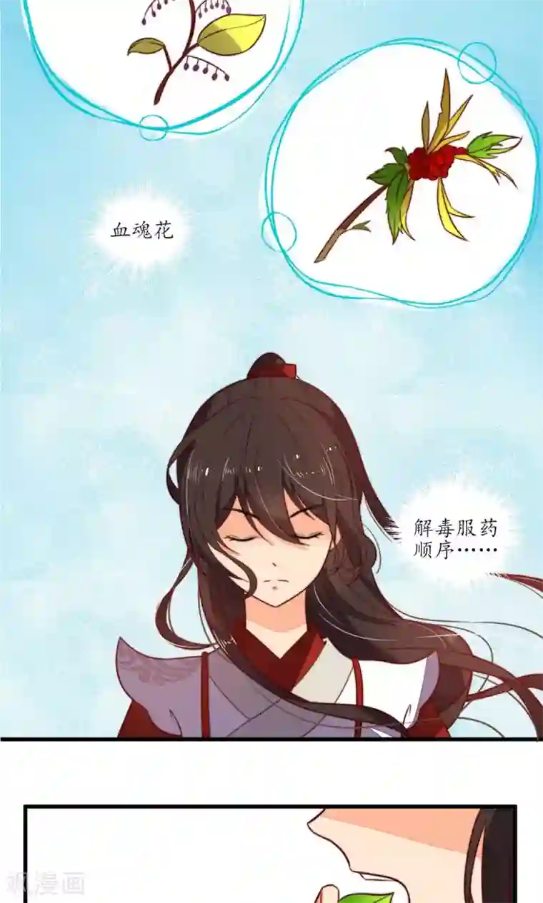 王妃的婚后指南第12话 传说中的万象体