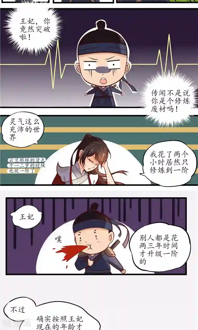 王妃的婚后指南第12话 传说中的万象体