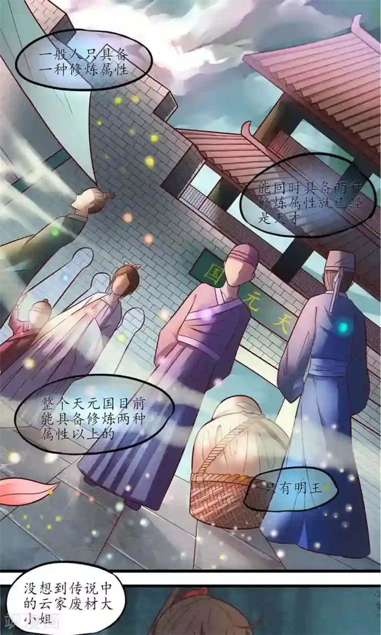 王妃的婚后指南第12话 传说中的万象体