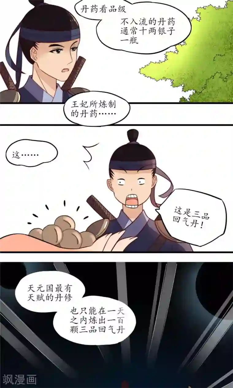 王妃的婚后指南第13话 惊人的天赋