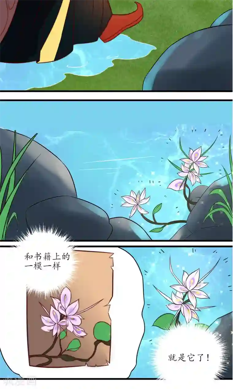 王妃的婚后指南第17话 凶兽