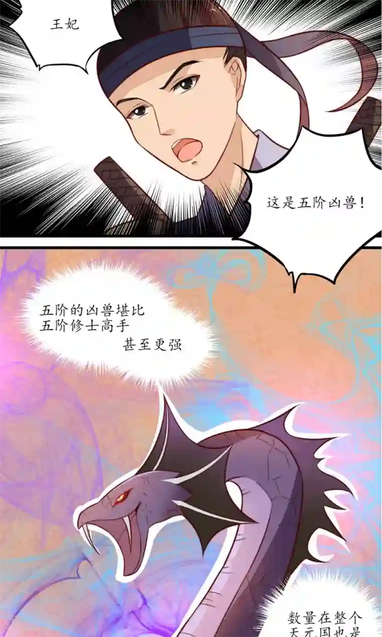 王妃的婚后指南第17话 凶兽