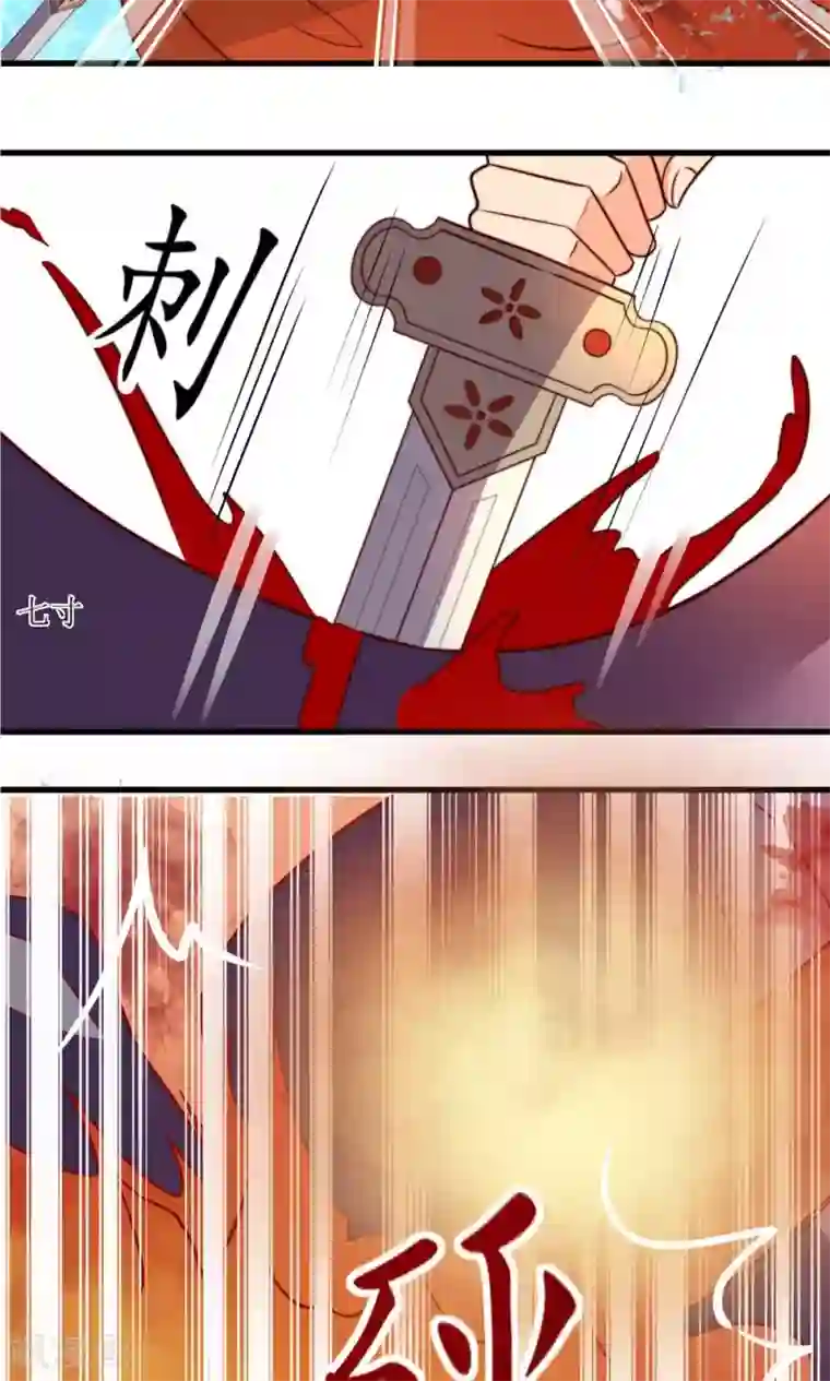 王妃的婚后指南第19话 只有一战