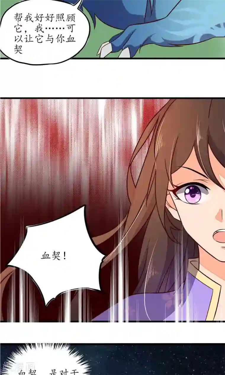 王妃的婚后指南第28话 相求