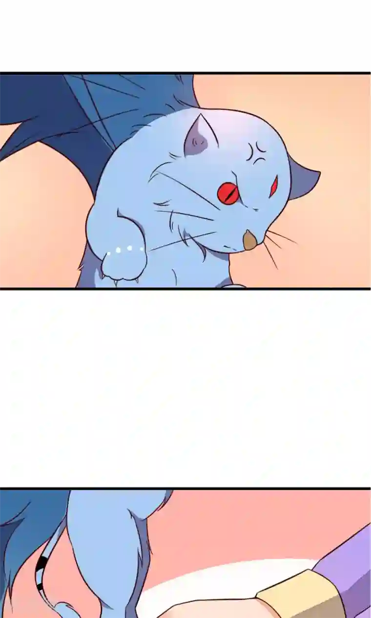 王妃的婚后指南第28话 相求