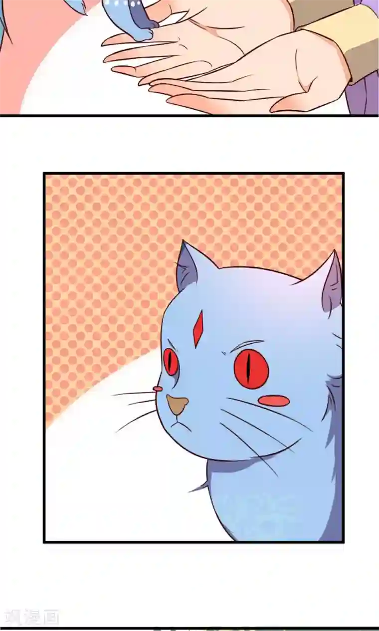 王妃的婚后指南第28话 相求