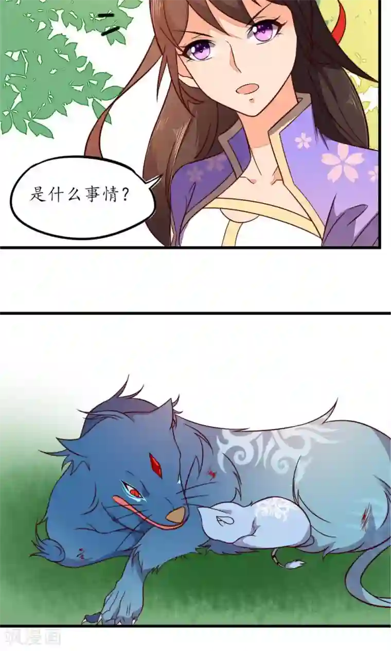 王妃的婚后指南第28话 相求