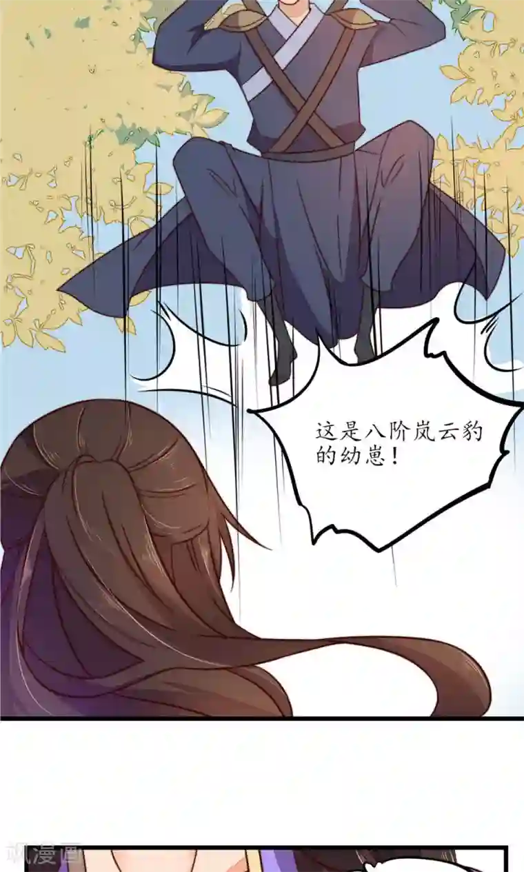 王妃的婚后指南第29话 兽宠