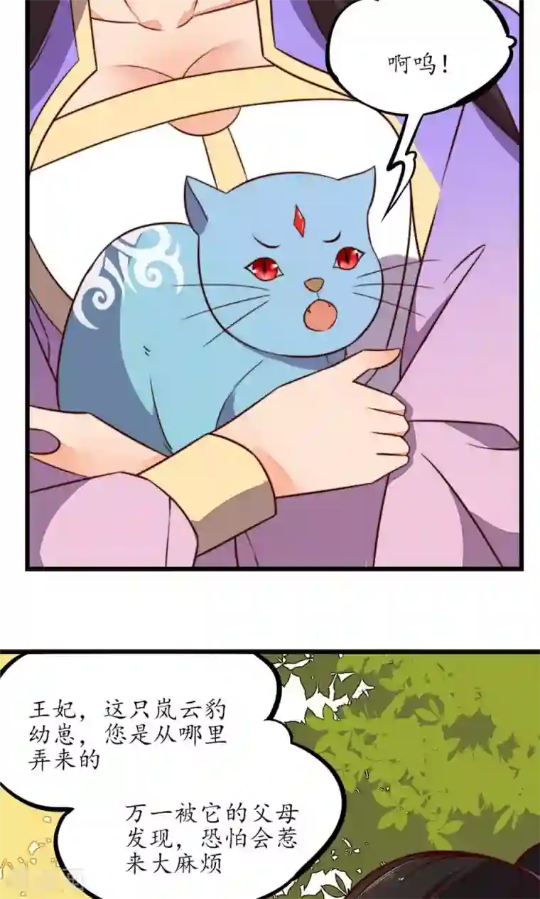 王妃的婚后指南第29话 兽宠