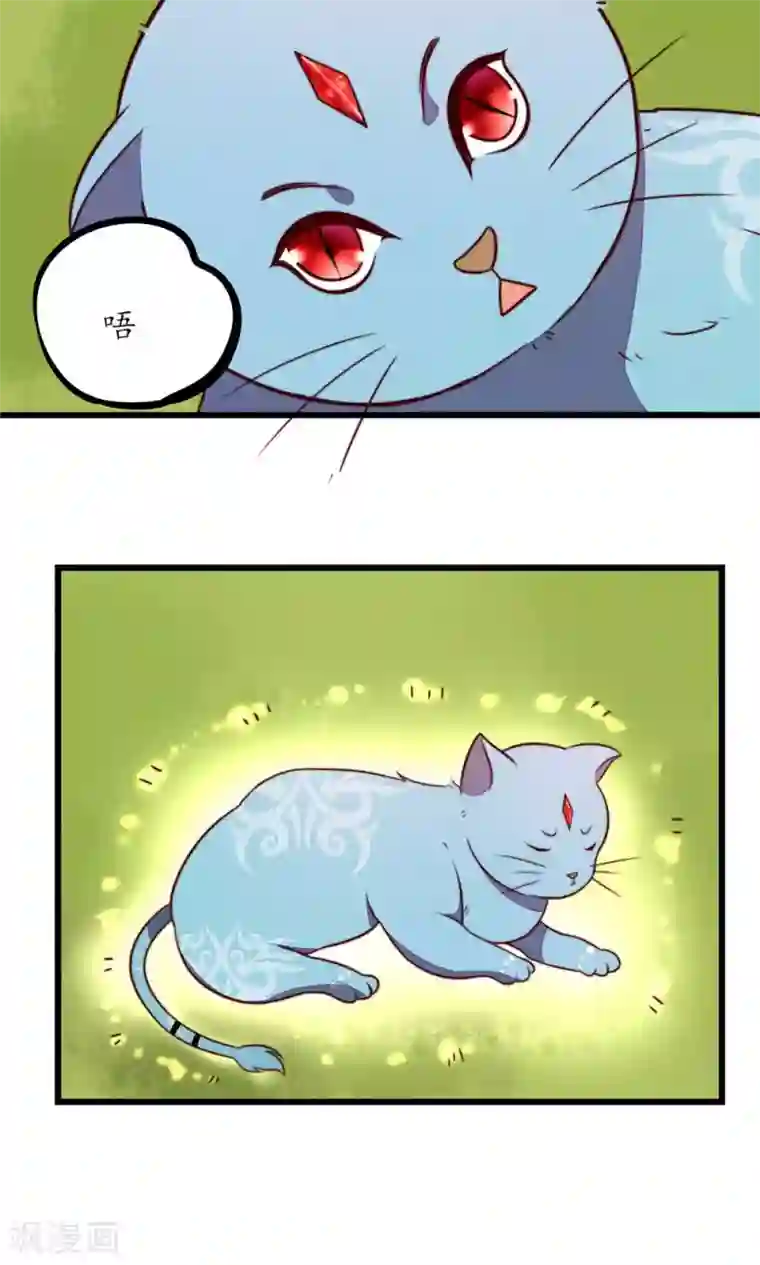 王妃的婚后指南第29话 兽宠