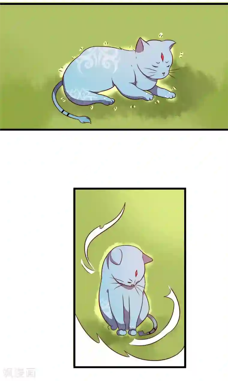 王妃的婚后指南第29话 兽宠