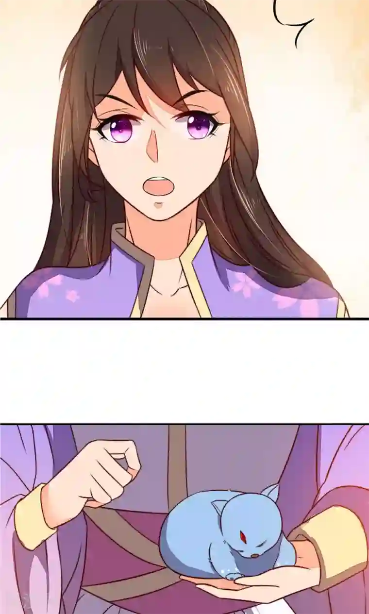 王妃的婚后指南第30话 摸也摸过的关系