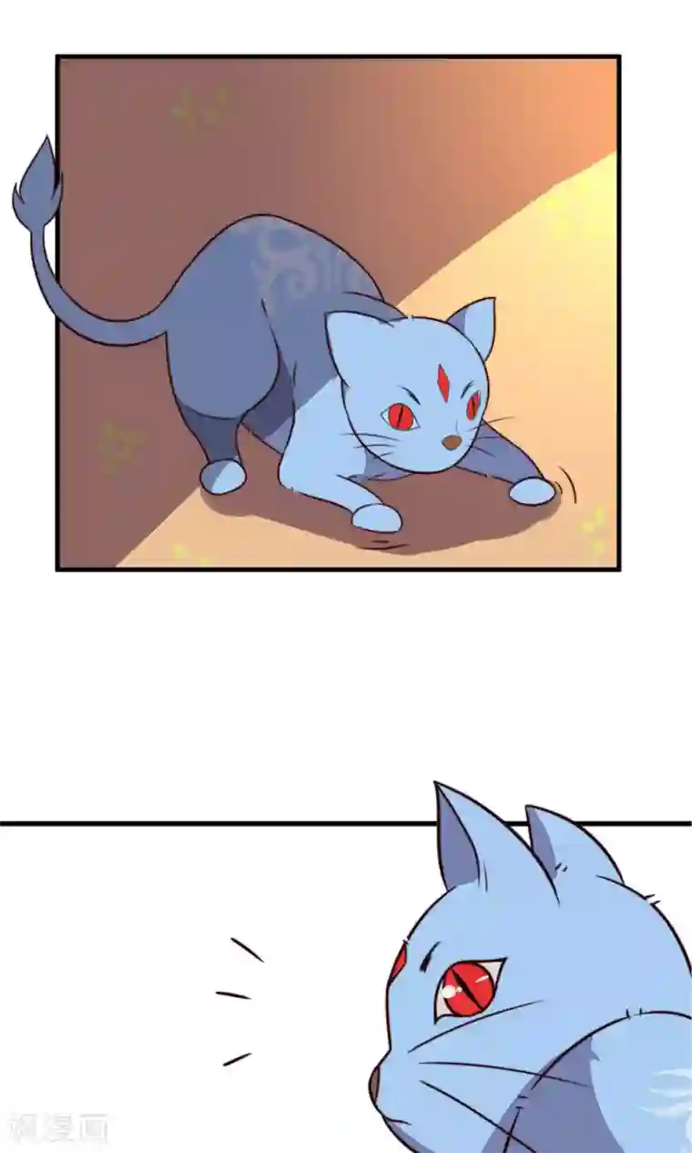 王妃的婚后指南第30话 摸也摸过的关系