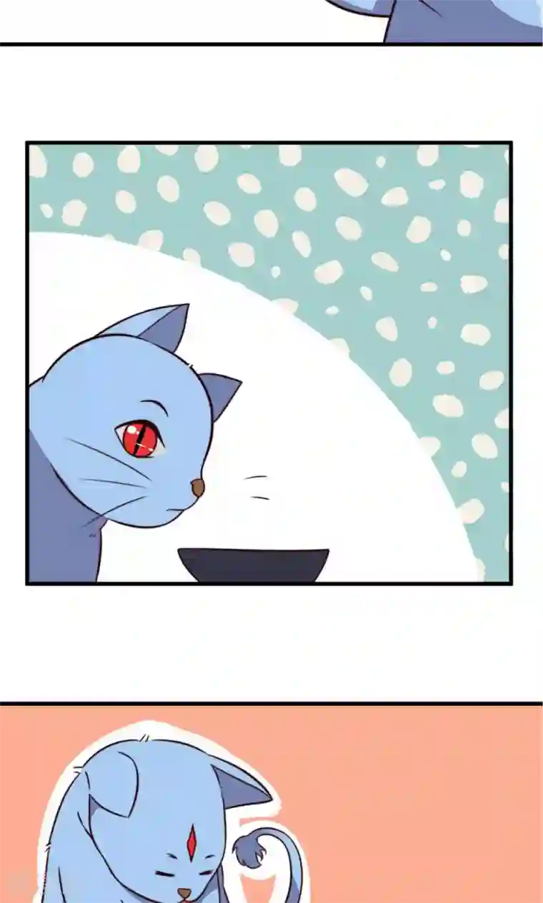 王妃的婚后指南第30话 摸也摸过的关系