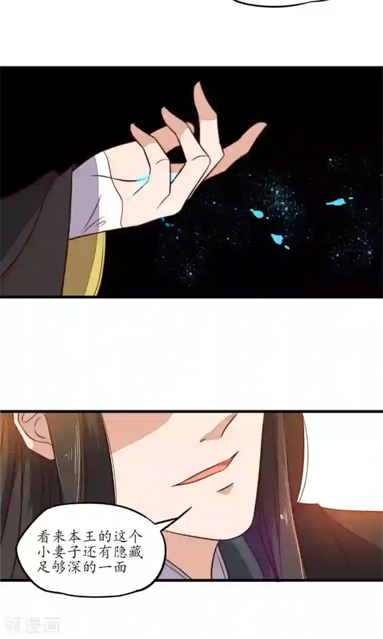 王妃的婚后指南第32话 不一般的女子