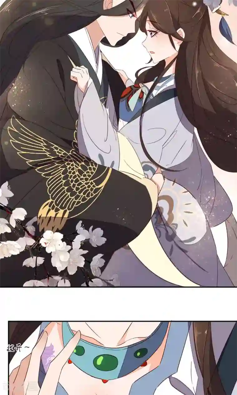 王妃的婚后指南第60话 胎记