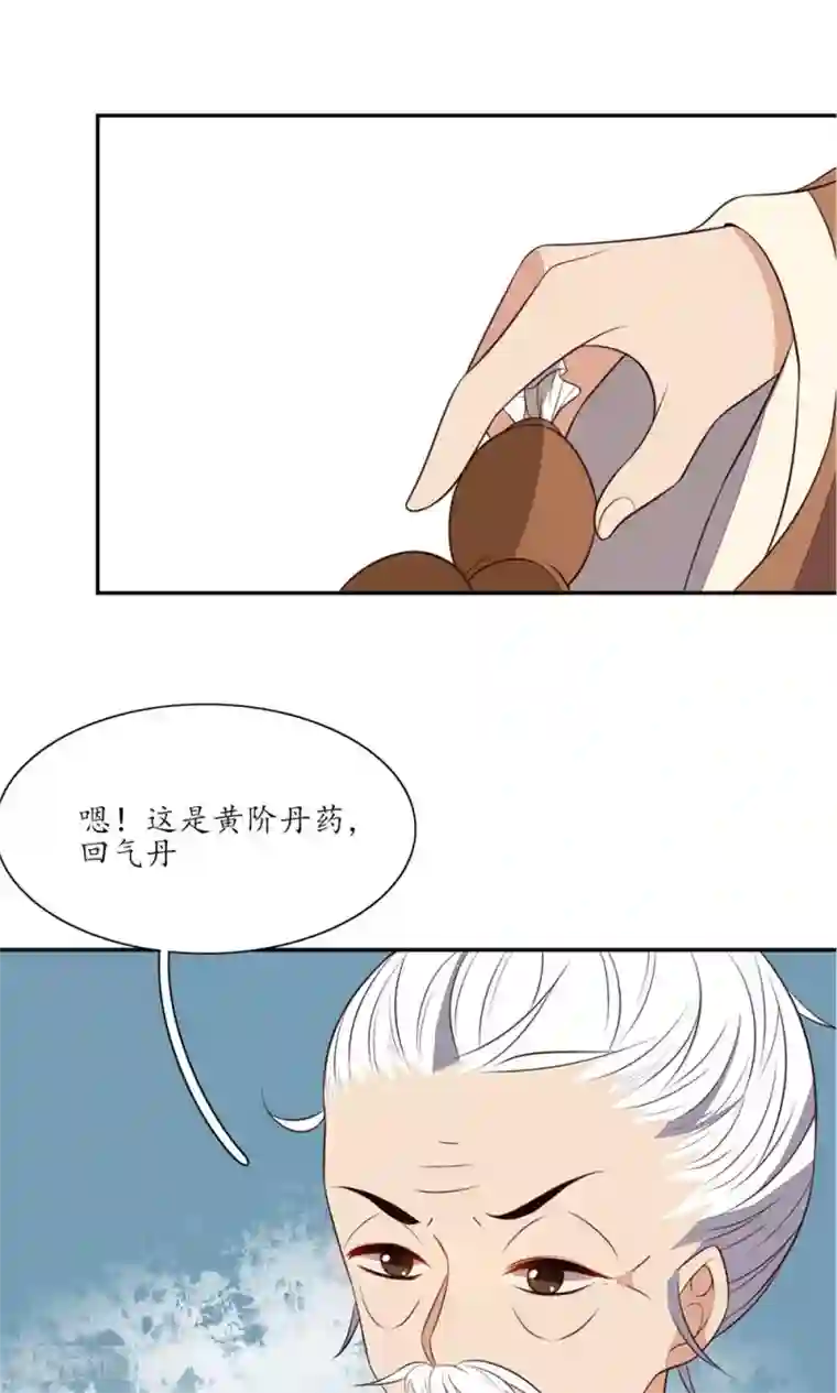 王妃的婚后指南第69话 天生注定能炼五品