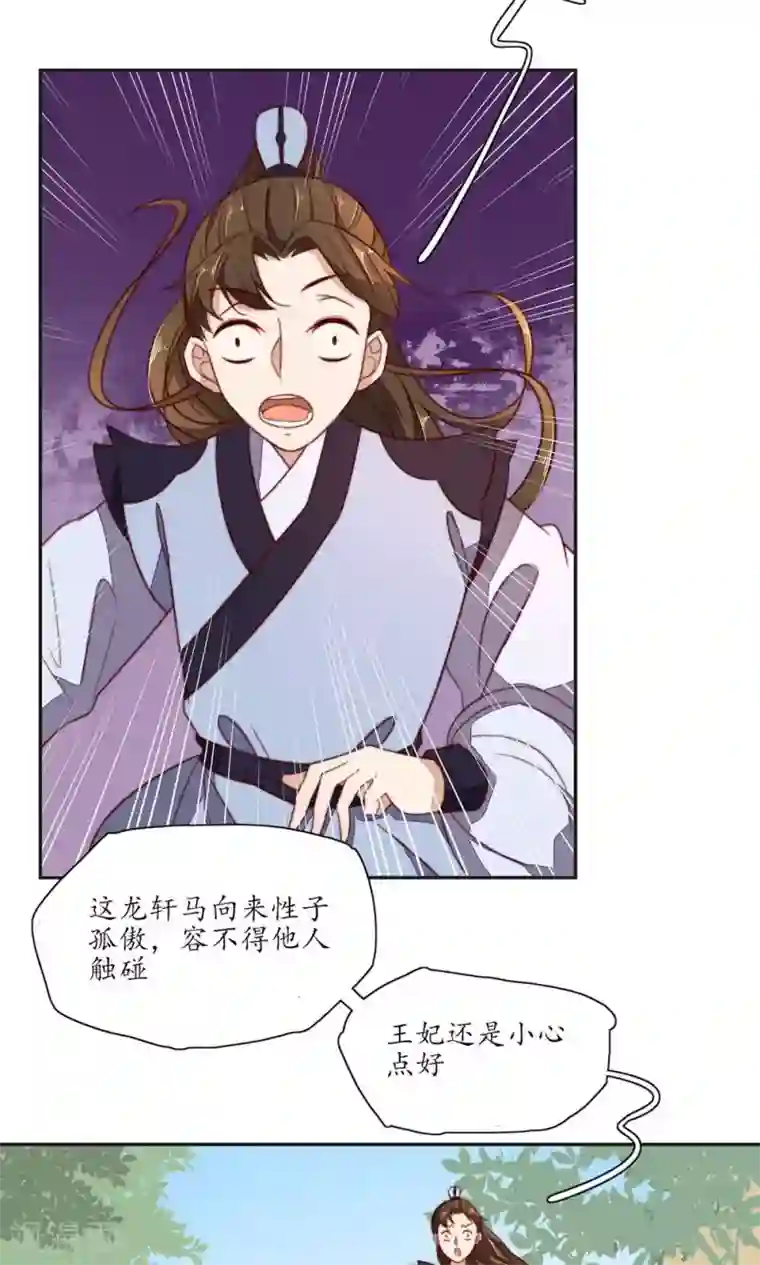 王妃的婚后指南第81话 乖巧的龙轩马