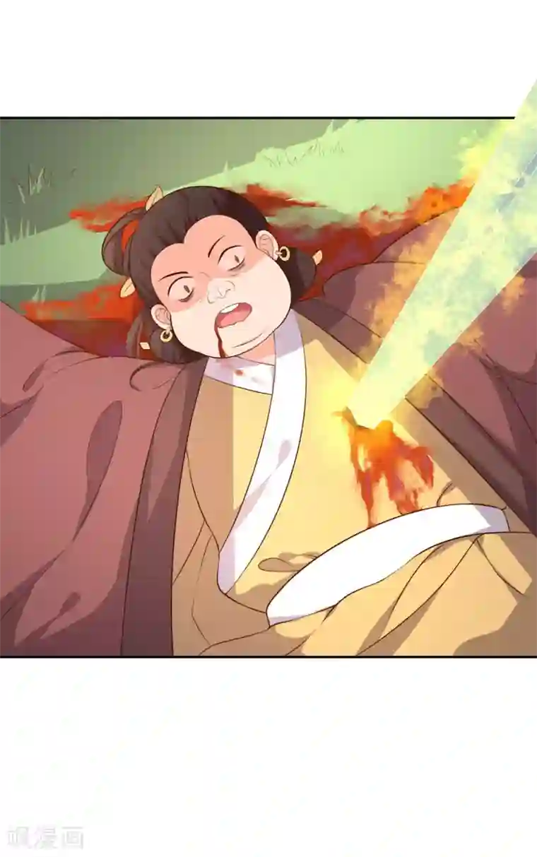 王妃的婚后指南第90话 王爷救下王妃