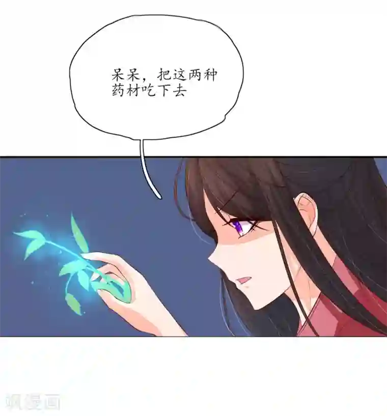 王妃的婚后指南第134话 救治，顾雪衣