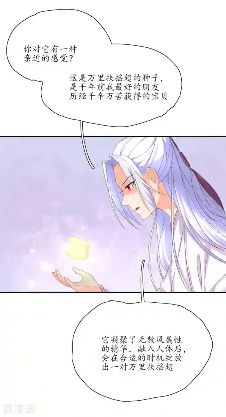 王妃的婚后指南第136话 雪衣的谢礼