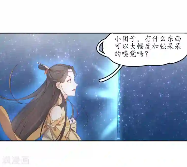 王妃的婚后指南第204话 寻找雪衣
