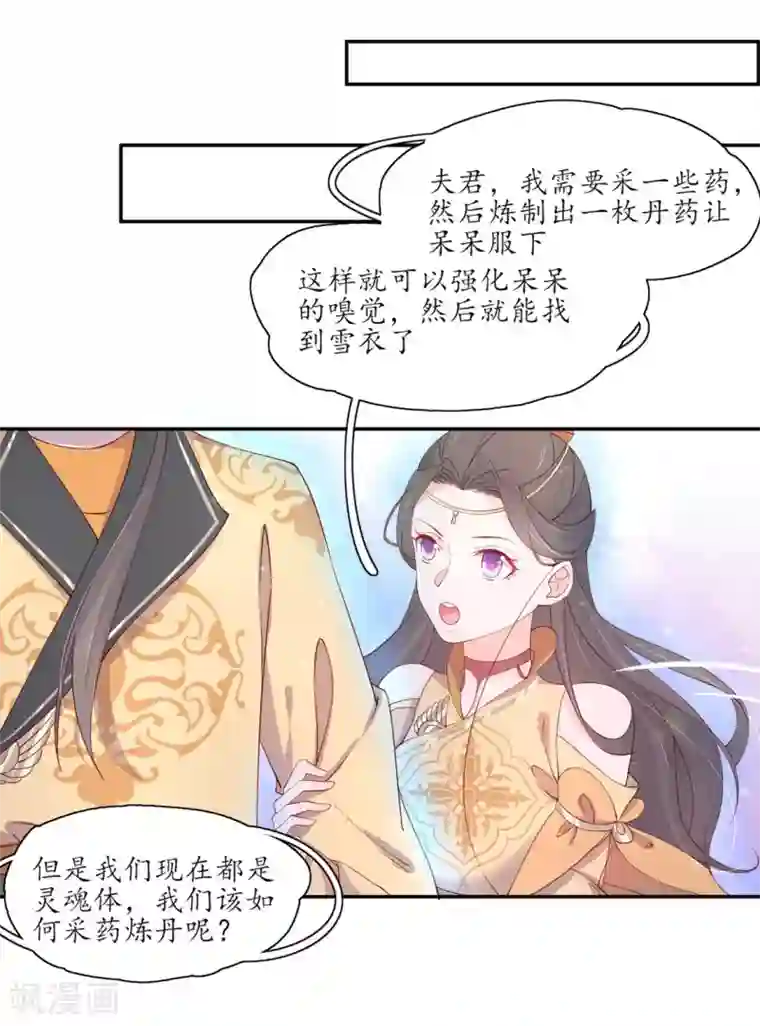 王妃的婚后指南第205话 寻找药材