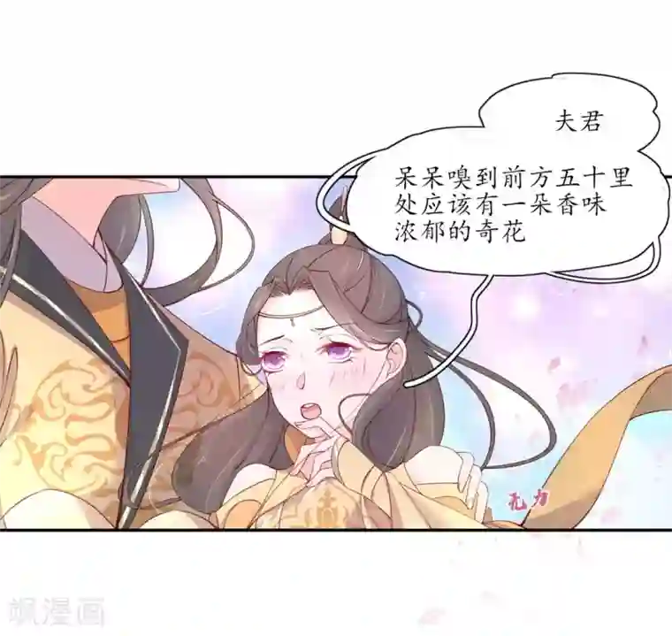 王妃的婚后指南第206话 灵魂交融