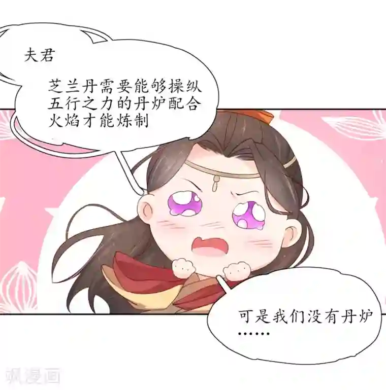 王妃的婚后指南第207话 获得药材