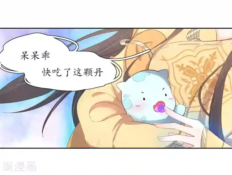 王妃的婚后指南第209话 呆呆升级