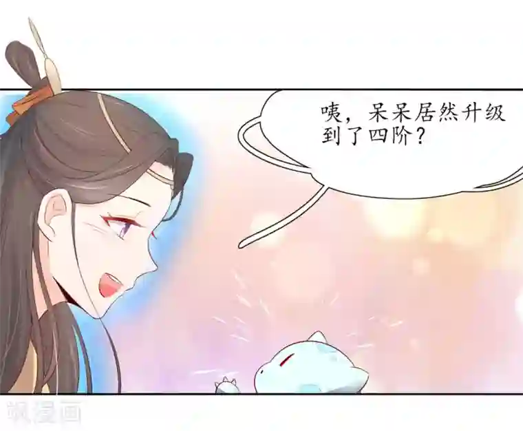 王妃的婚后指南第209话 呆呆升级