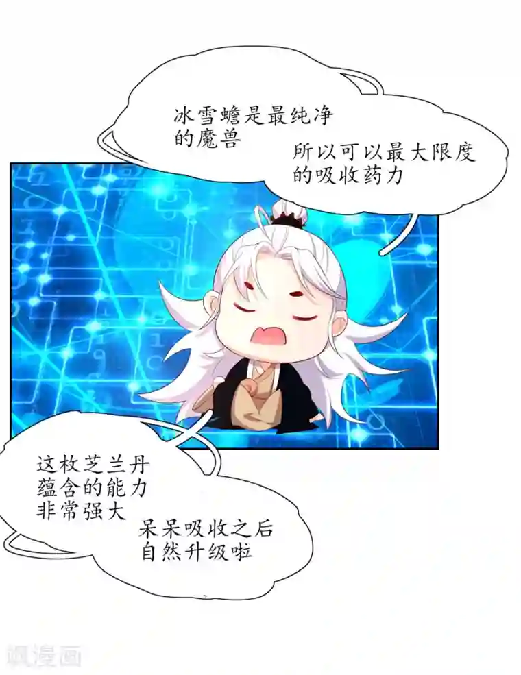 王妃的婚后指南第209话 呆呆升级