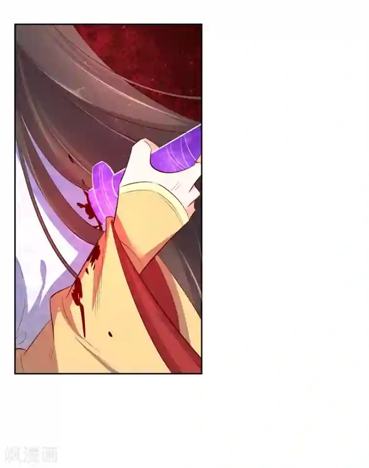 王妃的婚后指南最终话 等我来找你