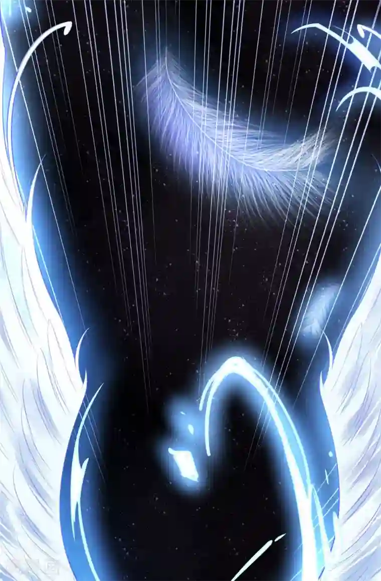 王妃的婚后指南最终话 等我来找你