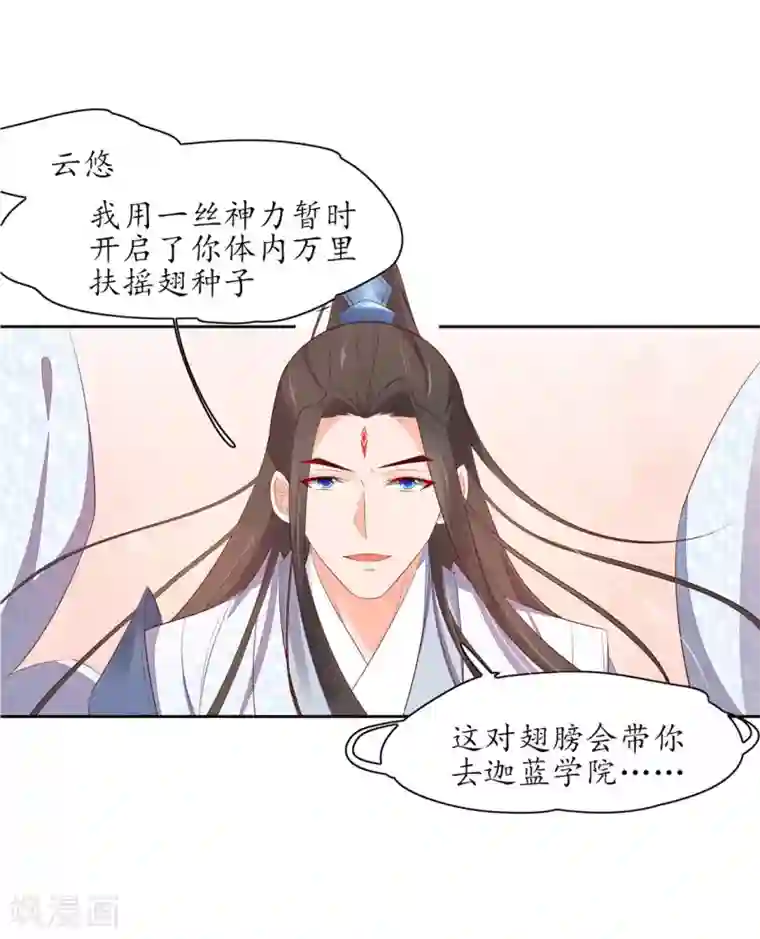 王妃的婚后指南最终话 等我来找你