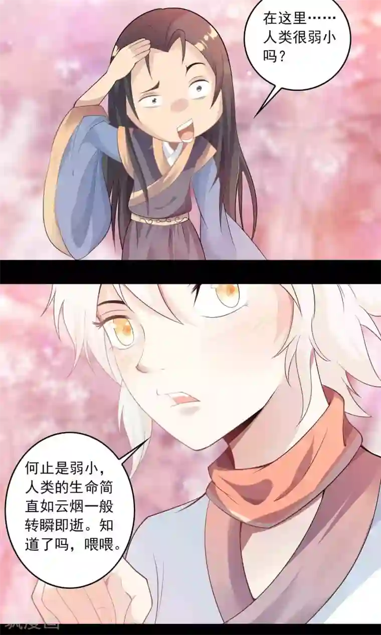 鹏城诡事第55话 石金山