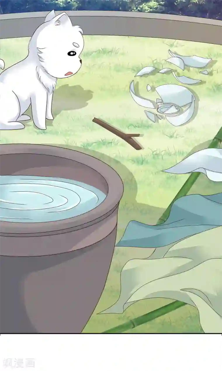 亿万富婆在冷宫第11话 他来了，他带着杀气走来了！