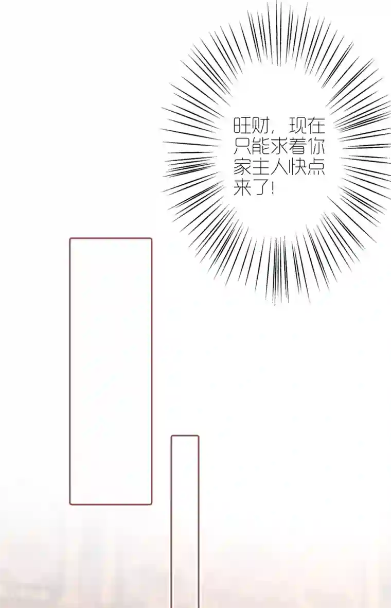 亿万富婆在冷宫第11话 他来了，他带着杀气走来了！