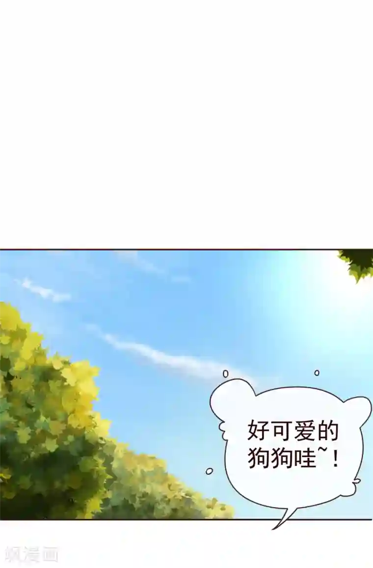 纯真总裁宠萌妻第58话 狗粮