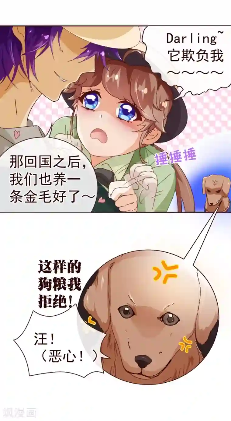 金凌被思追做哭第58话 狗粮