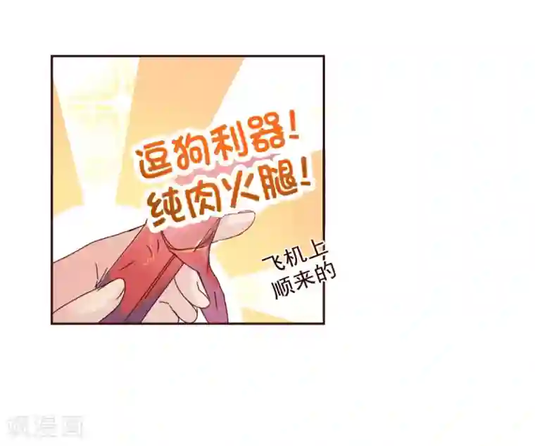 纯真总裁宠萌妻第58话 狗粮