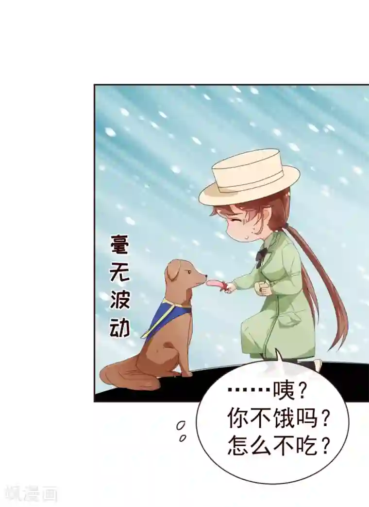 纯真总裁宠萌妻第58话 狗粮