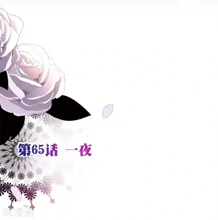 纯真总裁宠萌妻第65话 一夜