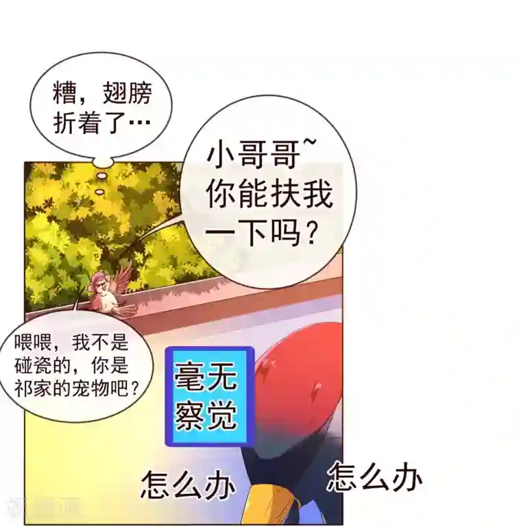 纯真总裁宠萌妻第76话 生死